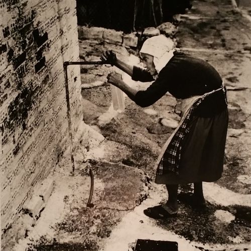 Les magnifiques photos d'Adrian Ginsberg