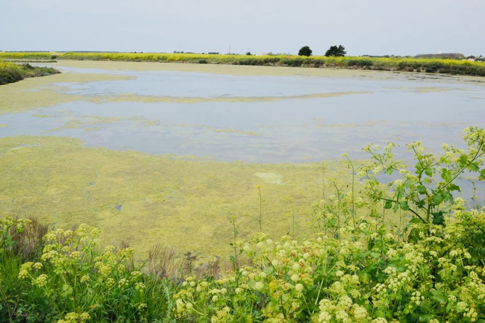 3 jours à l'île de Ré pendant le week-end de Pâques