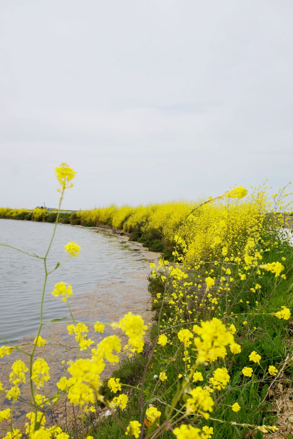 3 jours à l'île de Ré pendant le week-end de Pâques