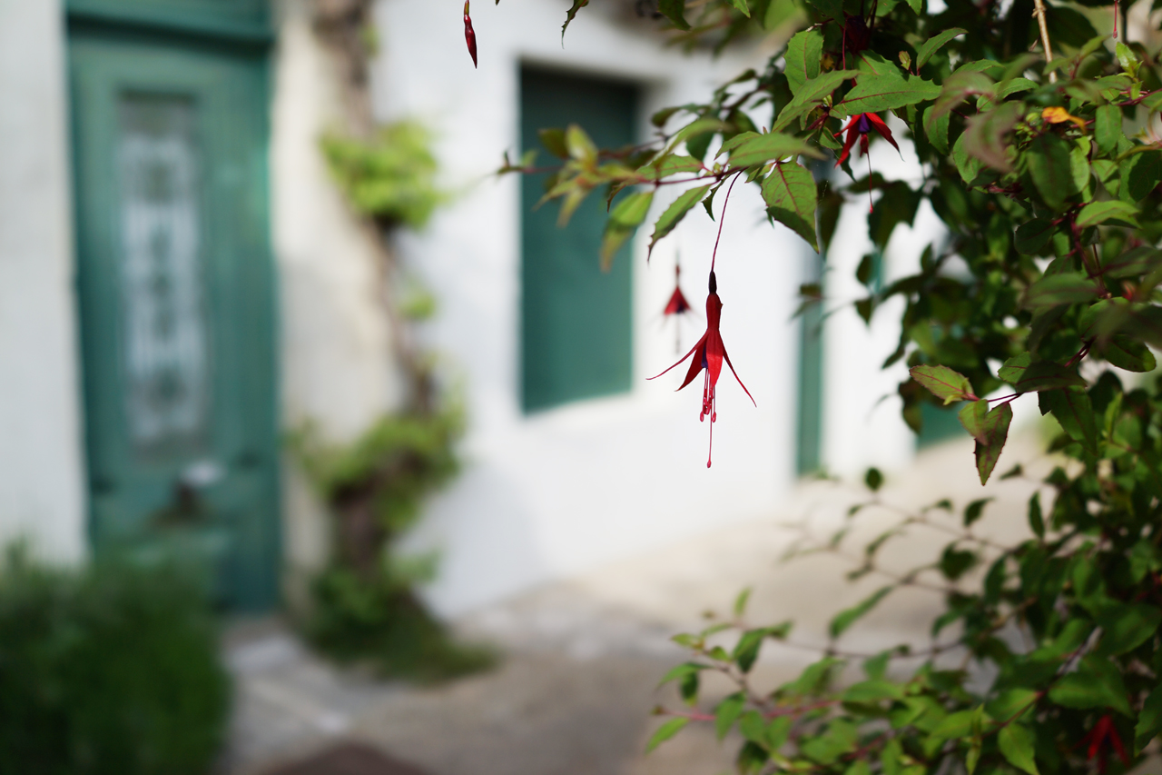 3 jours à l'île de Ré