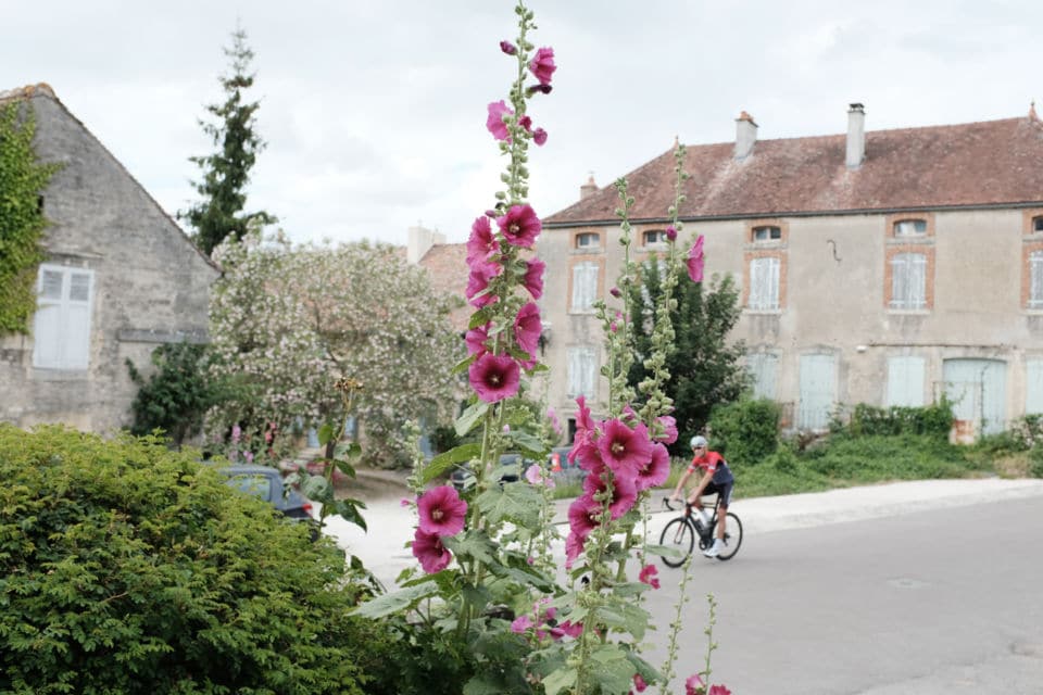 Un petit tour à Flavigny-sur-Ozerain