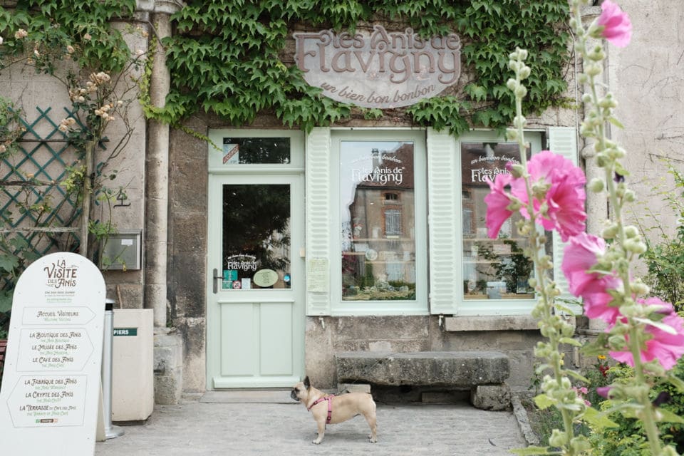 Un petit tour à Flavigny-sur-Ozerain