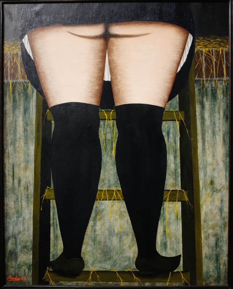L'exposition sur les artistes naïfs au musée Mayol