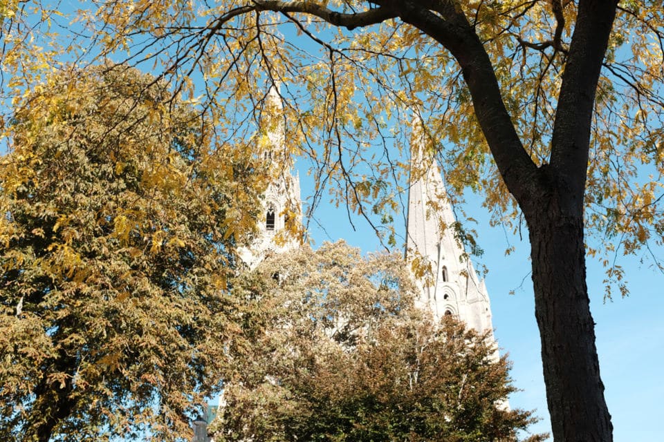 Un week-end à Chartres sous le soleil d'hiver